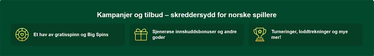 Section showcasing tailored promotions for Norwegian players, featuring icons with offers such as free spins, deposit bonuses, and tournaments. The design uses green background blocks with yellow line-art symbols. Highlights include generous rewards and various gaming activities.